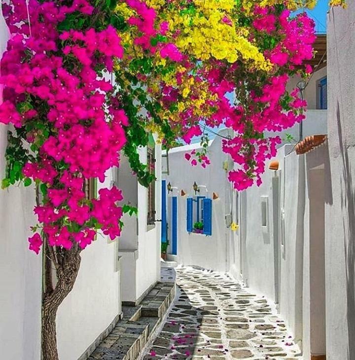 Melina'S House Mykonos Town公寓 外观 照片